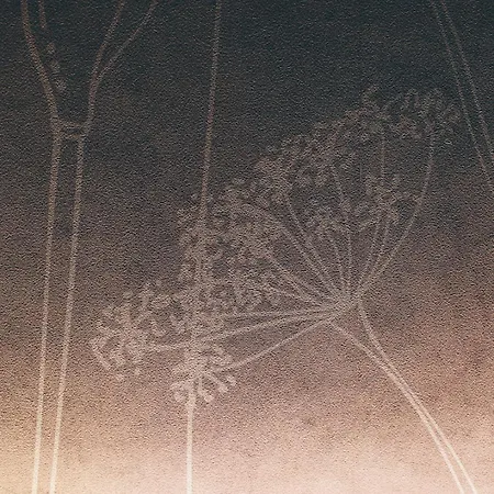 Romana Apartamento Aosta